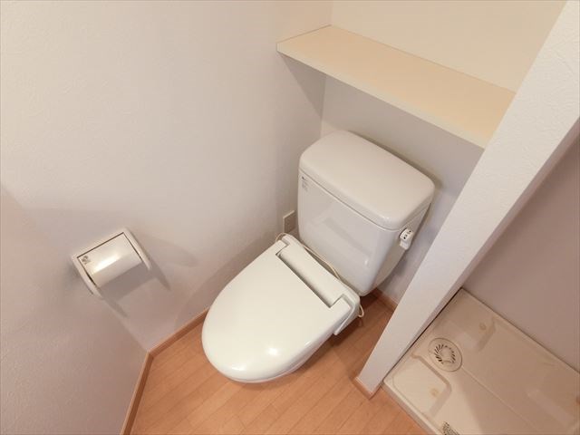 スコレータムラマⅡ その他2