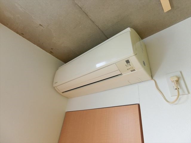 スコレータムラマⅡ その他3