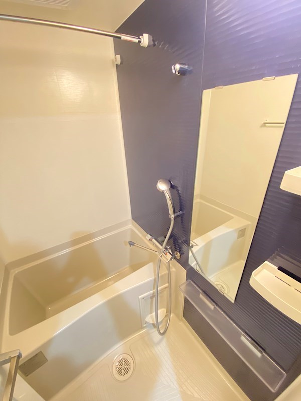 グランヴァンプレミアム新小岩 風呂画像