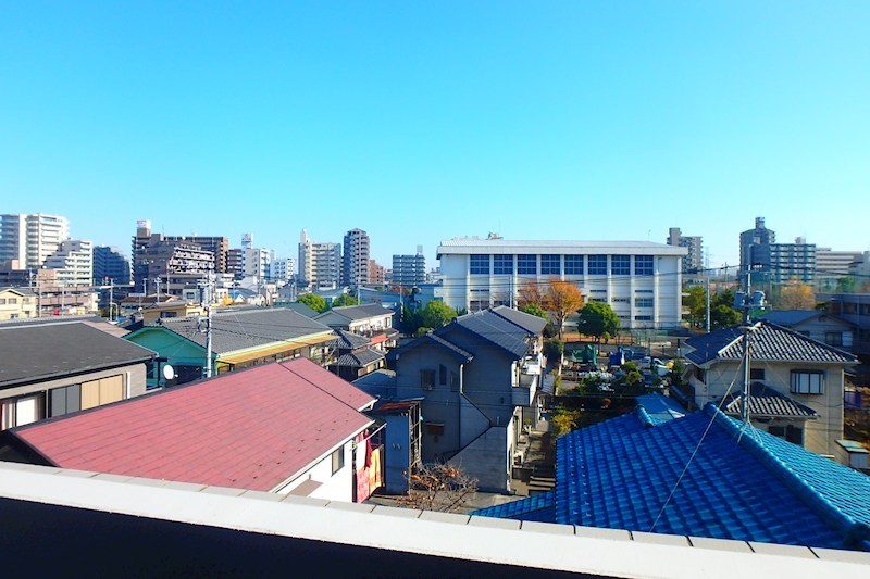 ベイ・ドルフィン   その他6