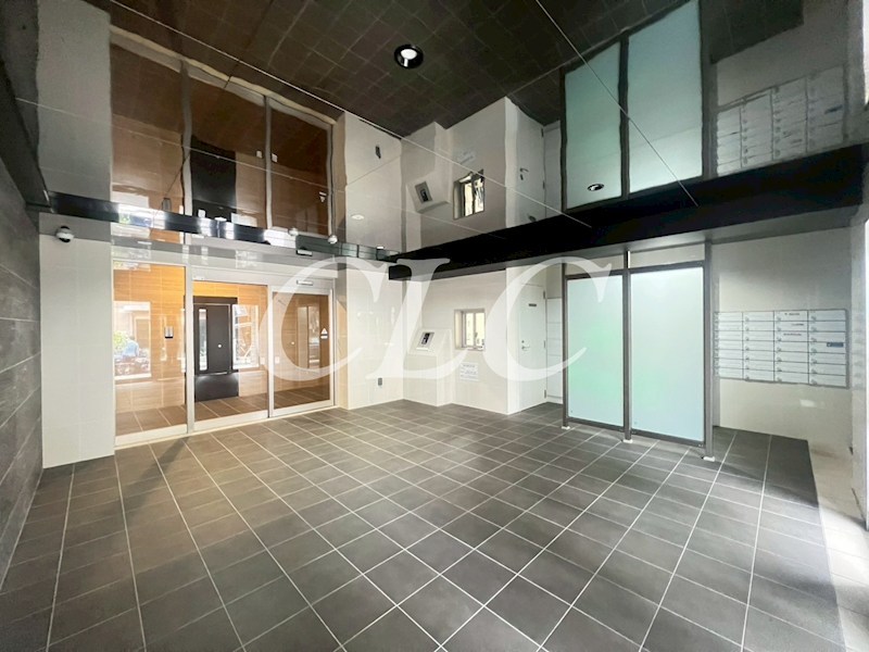 ドゥーエ曳舟 その他7