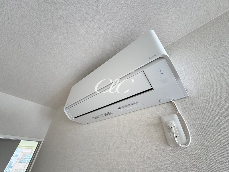 カーム　カモミール その他1