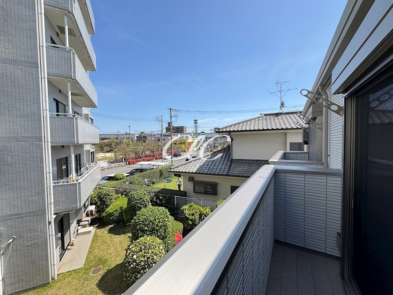 カーム　カモミール その他7