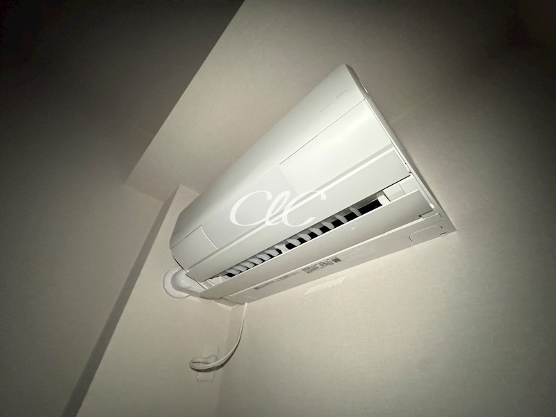 カーム　カモミール その他1