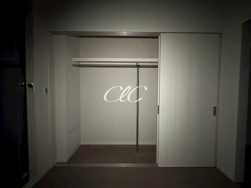 カーム　カモミール その他5