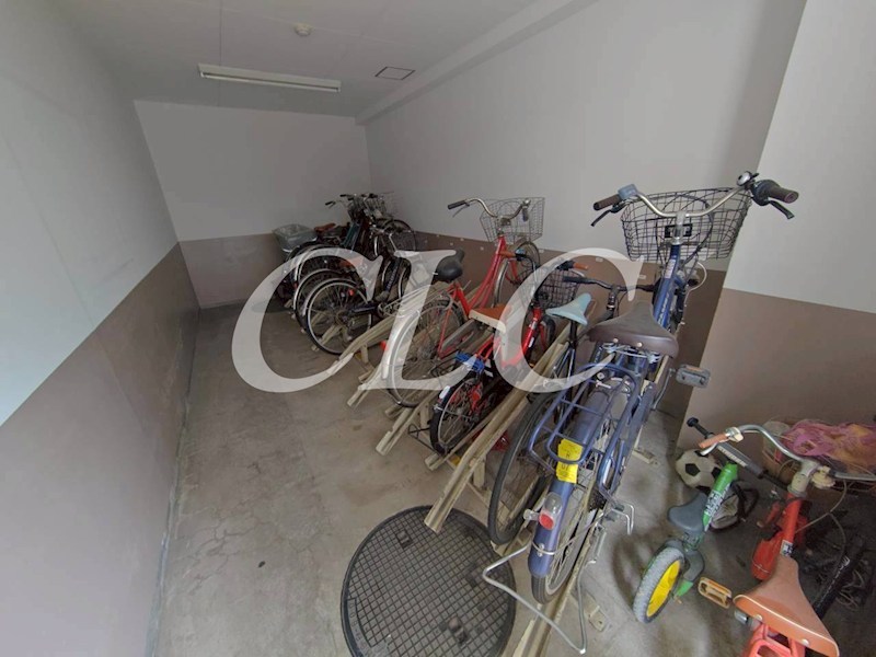 フローレンス森山 その他11