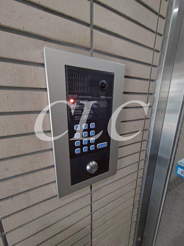 フローレンス森山 その他12