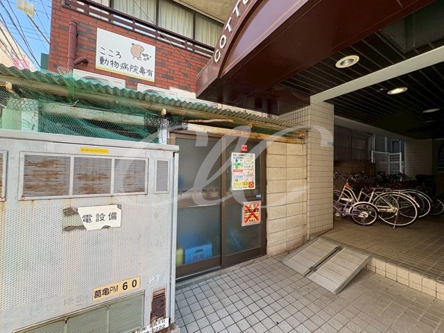 コットンプラザ その他6