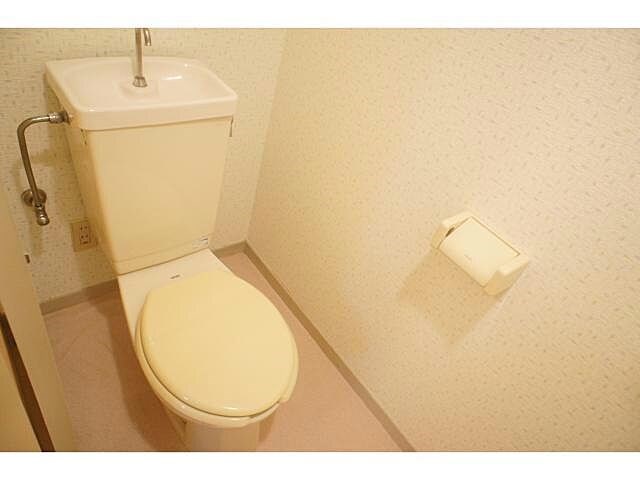 コットンプラザ その他1