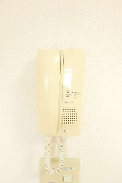 サンフラワーフィル その他4