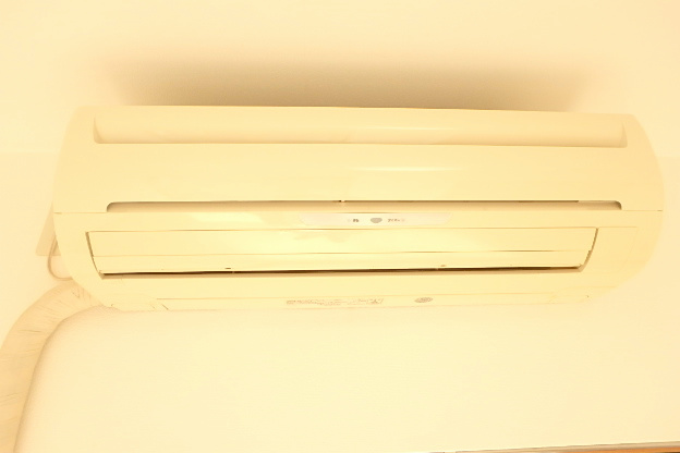 サンフラワーフィル その他8