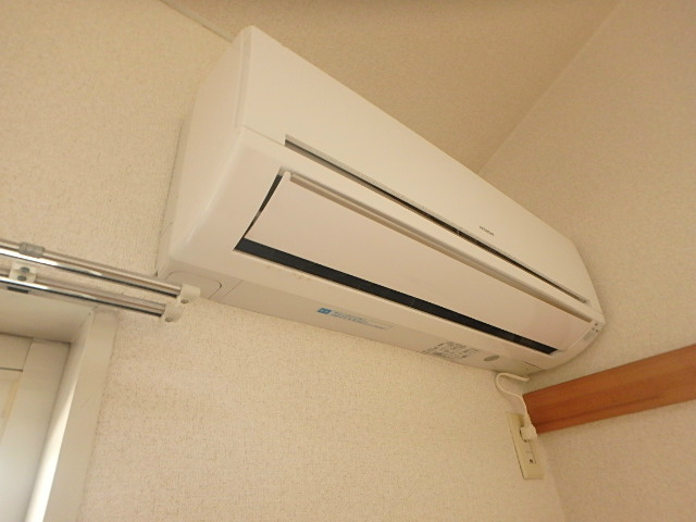 オリーブ その他4