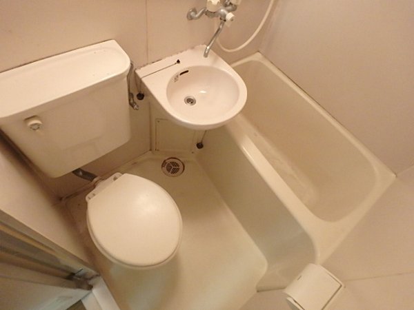 オリーブ その他3