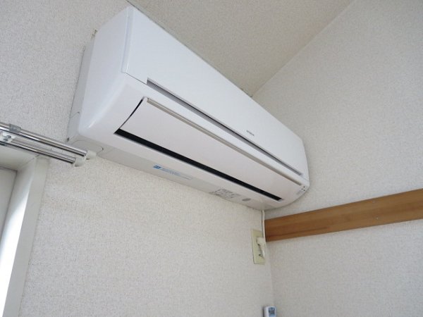 オリーブ その他5