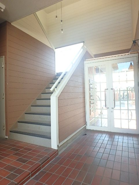 オリーブ その他6