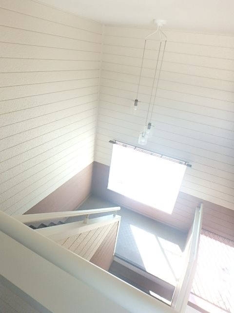 オリーブ その他8