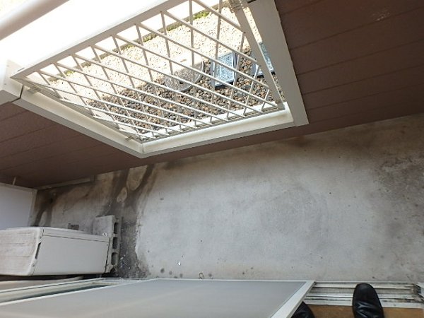 オリーブ ベランダ