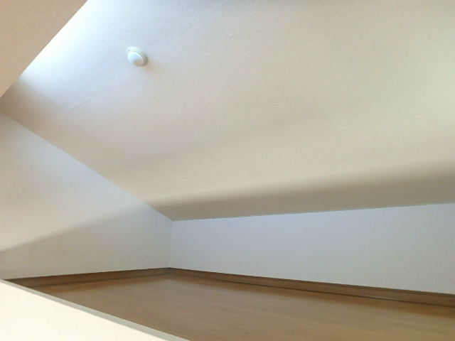 オリーブ その他2