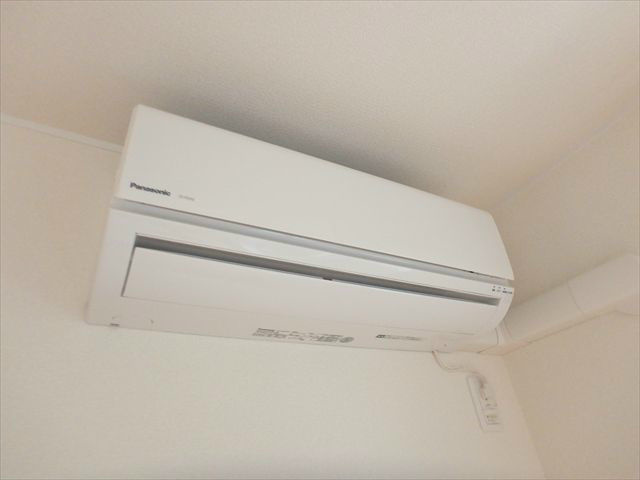 プラカーサ   その他8