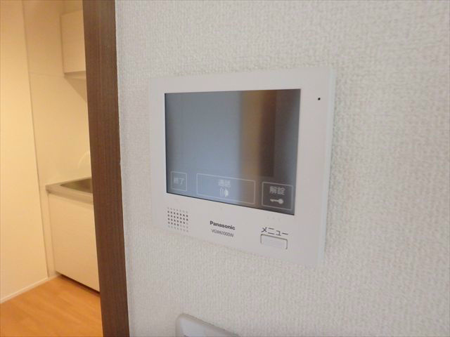 プラカーサ   その他6