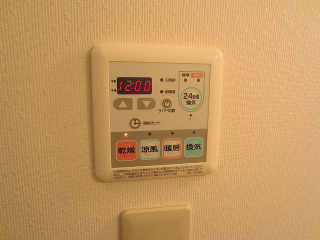 ヴェルドミール  その他8