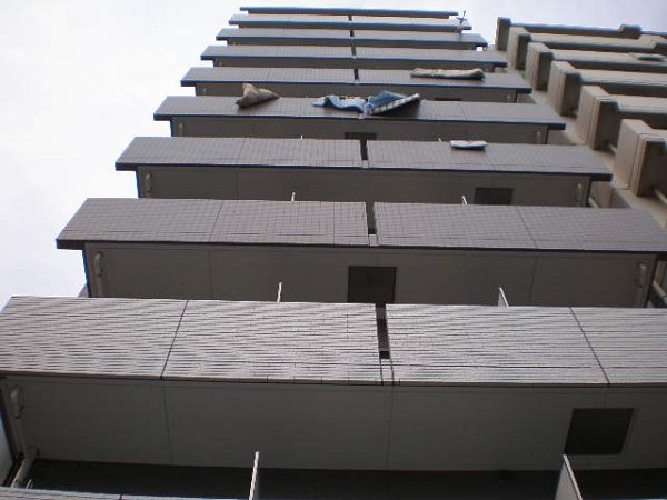 ヴェルドミール  その他9