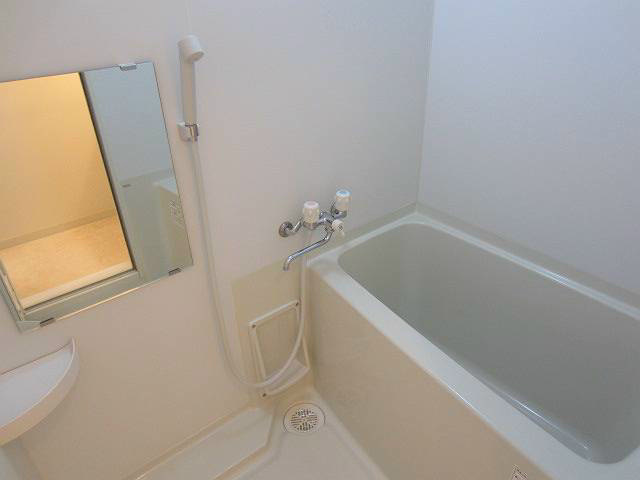 ヴェルドミール  風呂画像