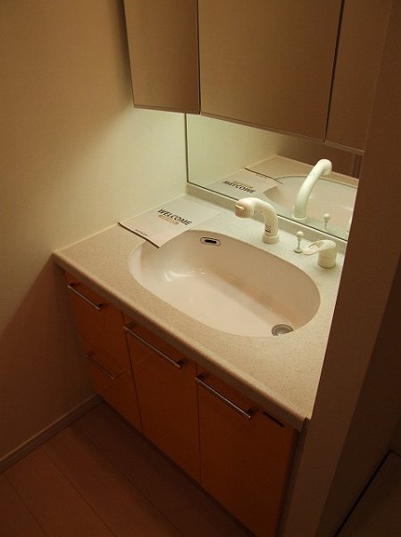 ロイヤルパークス新田 その他2