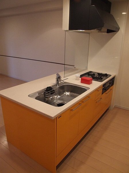 ロイヤルパークス新田 キッチン