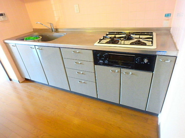 リヴィエール平井   キッチン