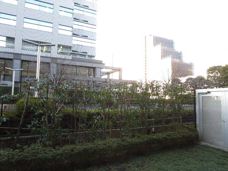 スクエア潮見 その他13