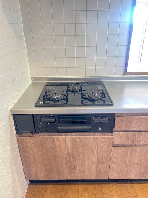 アウラ１０ その他4