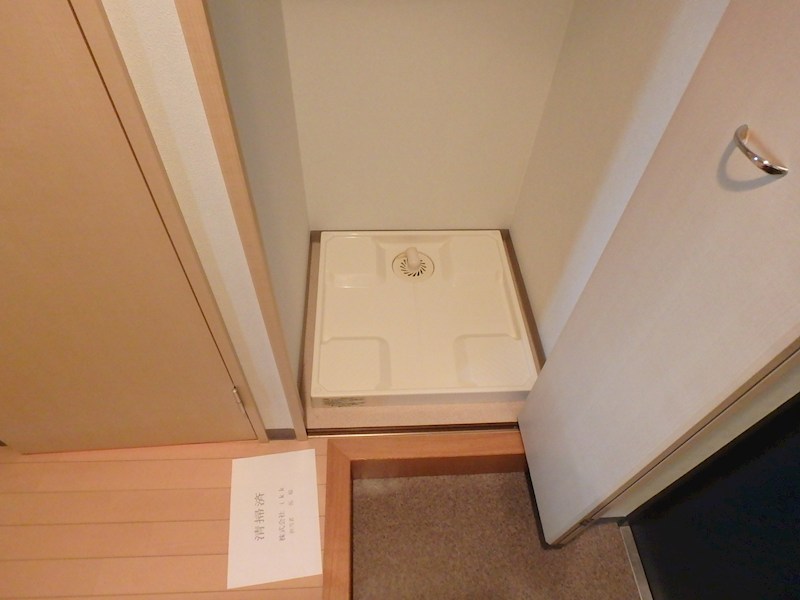 レニエ・ラ・ヴェルトゥ その他4