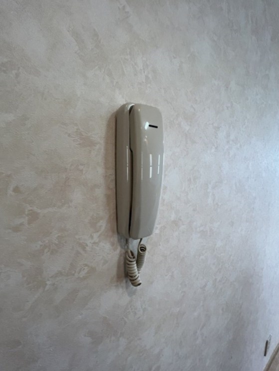 イル・レオーネ その他3