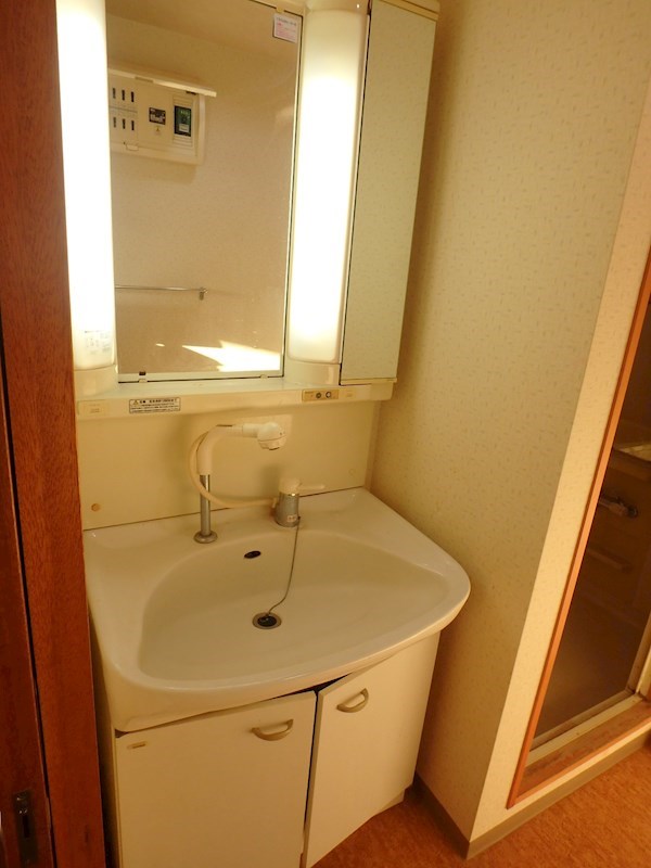 エバーグリーン その他5