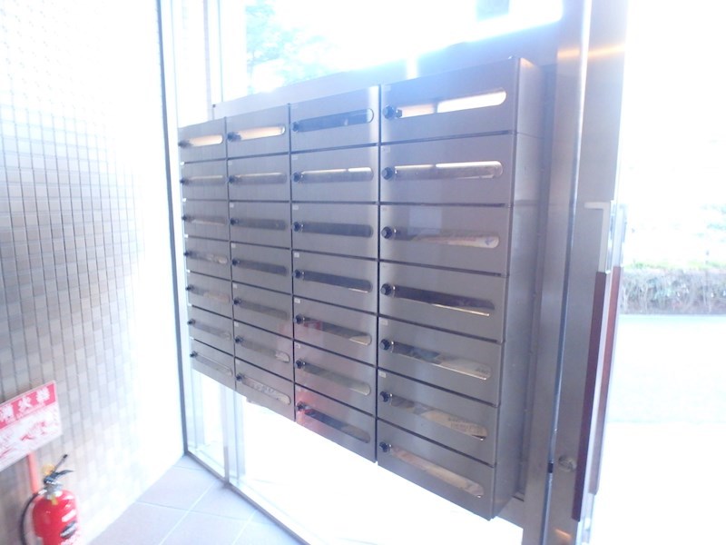 エバーグリーン その他11