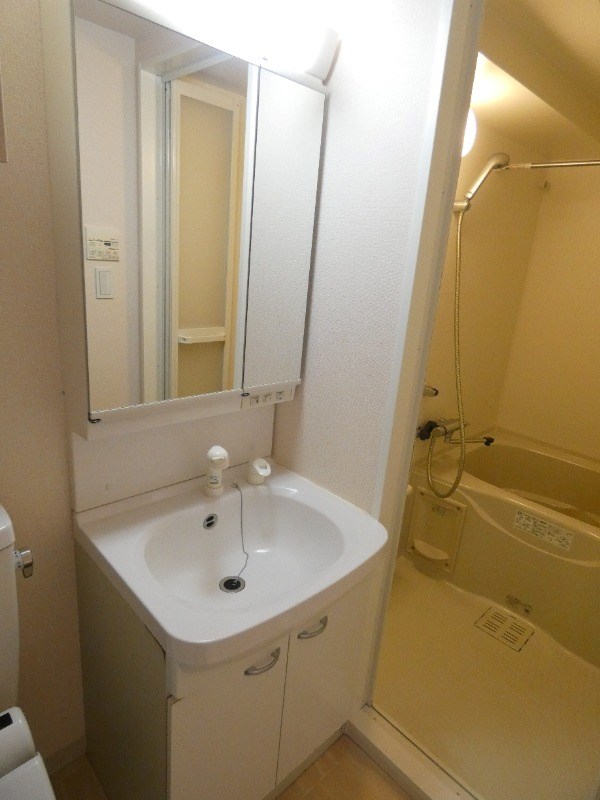 シュールフローレ その他2