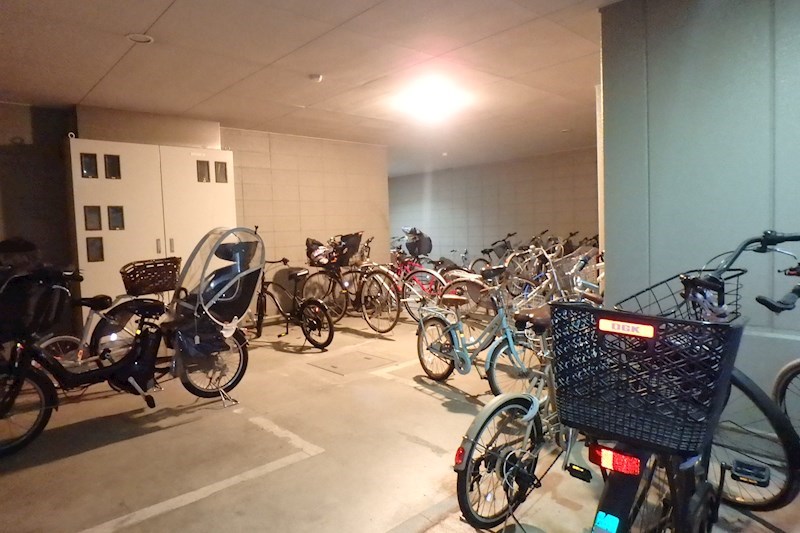 エバーグリーン その他2