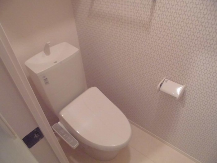 アンリジエール その他2