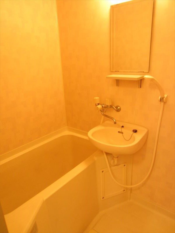 サマックス蘭 その他3