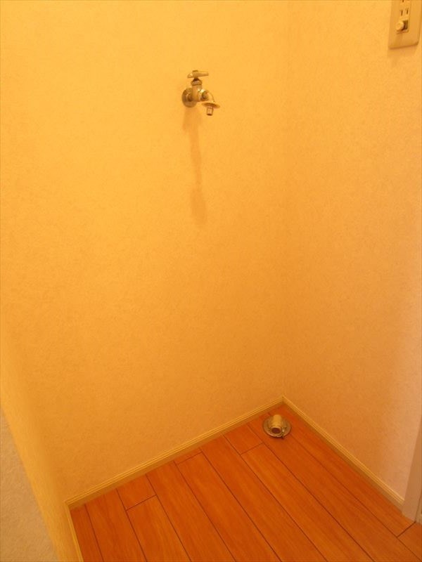 サマックス蘭 その他4