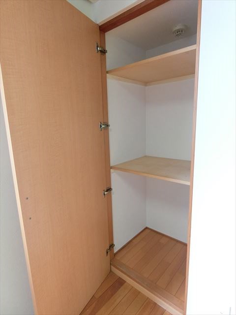 スコレータムラマⅡ その他4