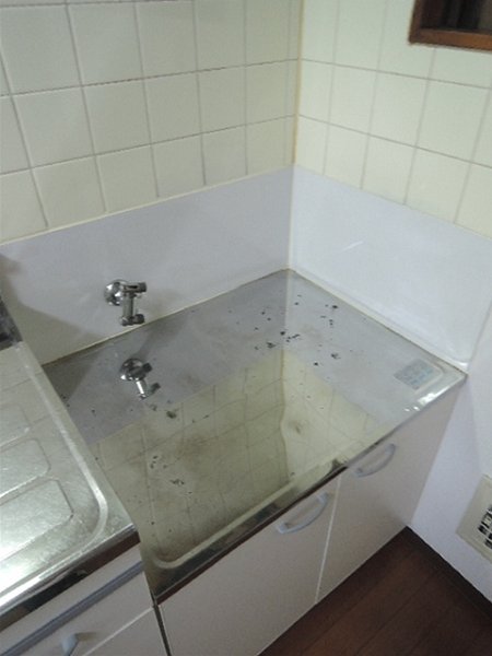 リバーサイドマンション その他8