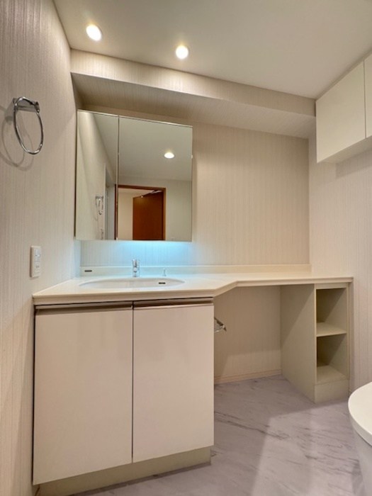 カスタリア銀座Ⅲ その他2