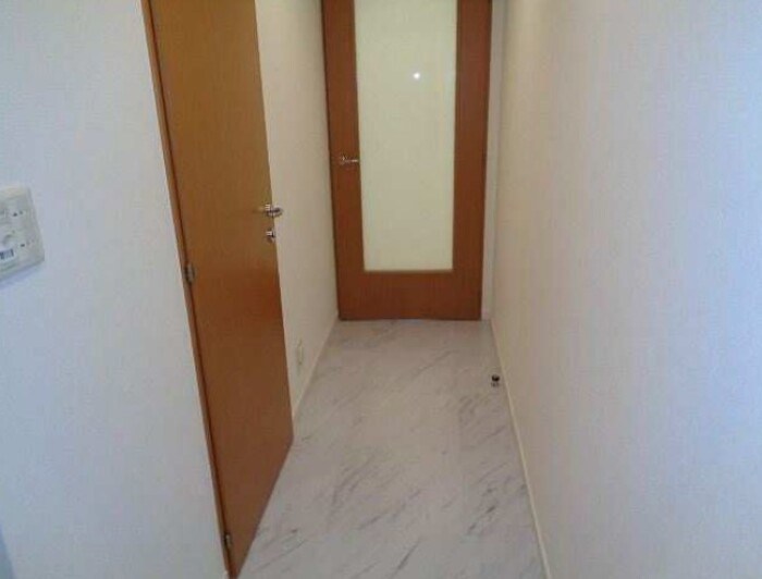 カスタリア銀座Ⅲ 玄関