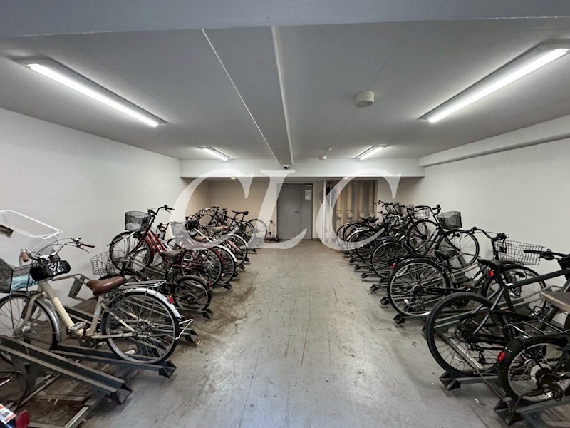 ＬＩＮＸ　ＡＶＥＮＩＲ その他9