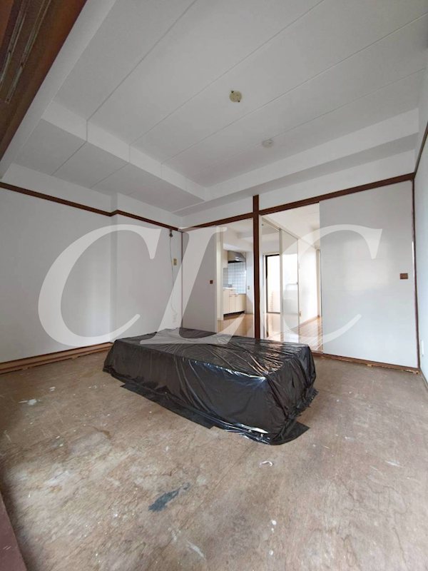 クリスタル３ その他7