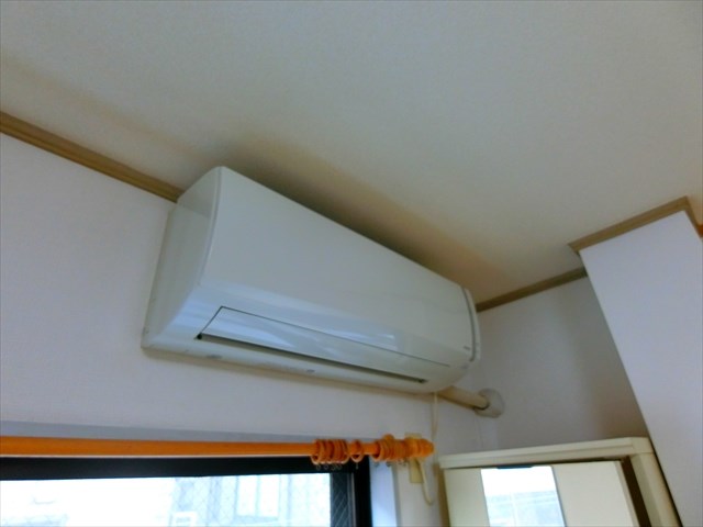 エバーグリーン  その他1