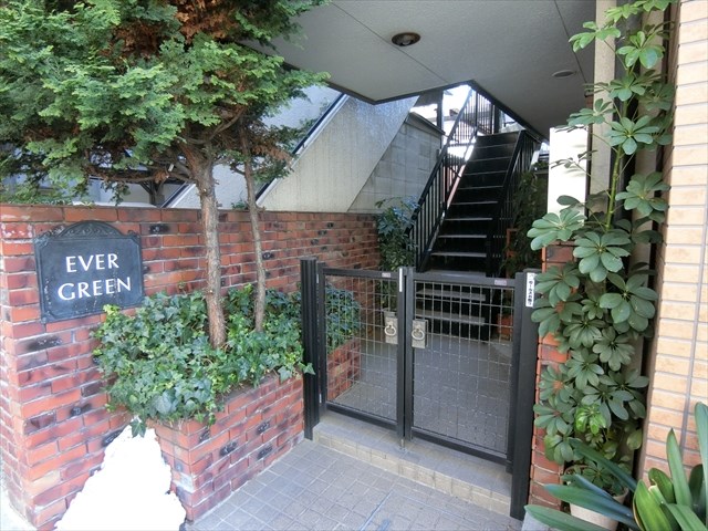 エバーグリーン  その他3