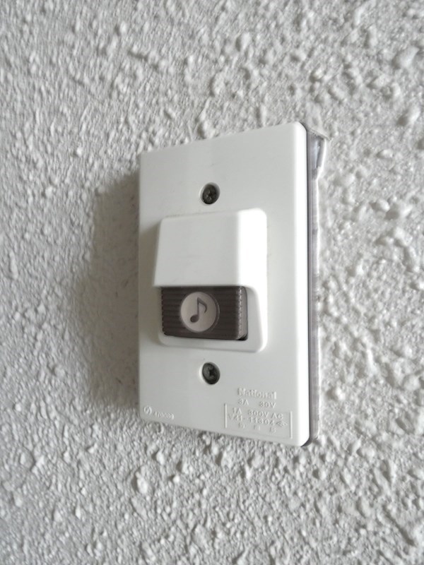 エバーグリーン  その他7